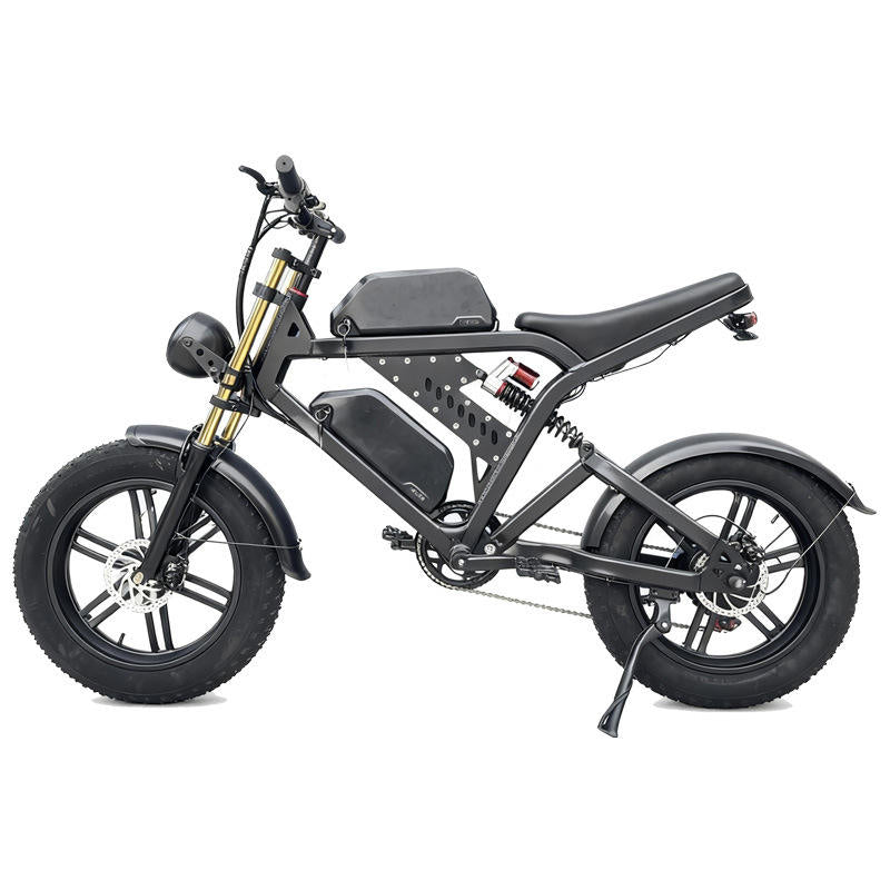 48V Central Drive Aluminum Fat Tire E-Bike : Z FT48