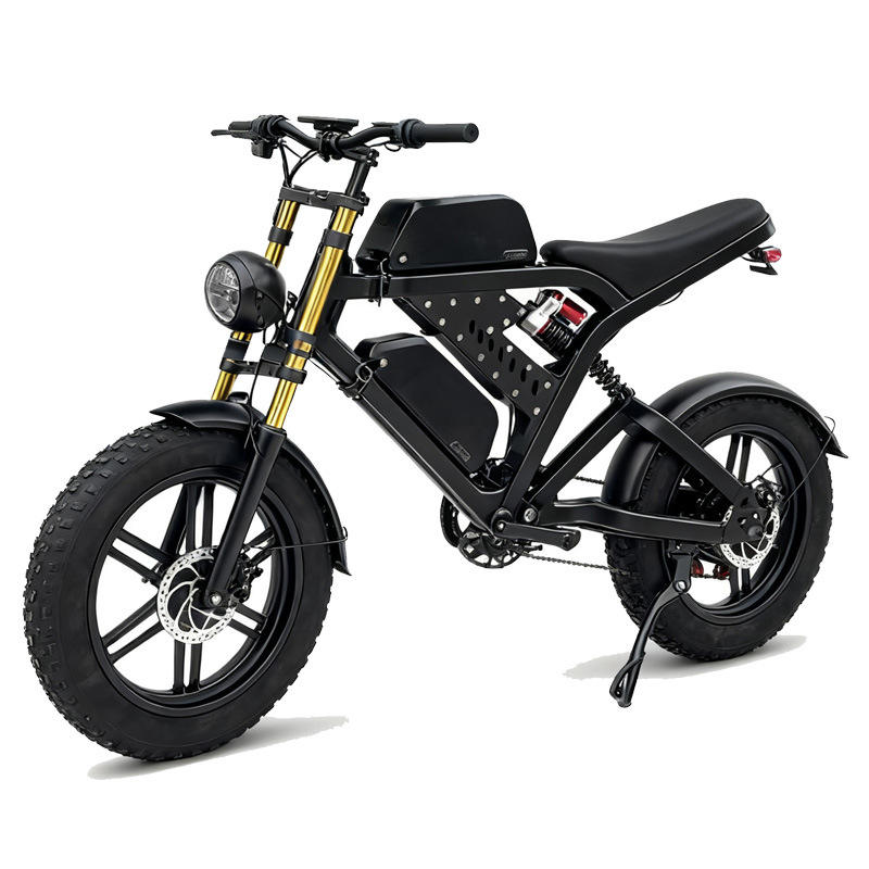 48V Central Drive Aluminum Fat Tire E-Bike : Z FT48