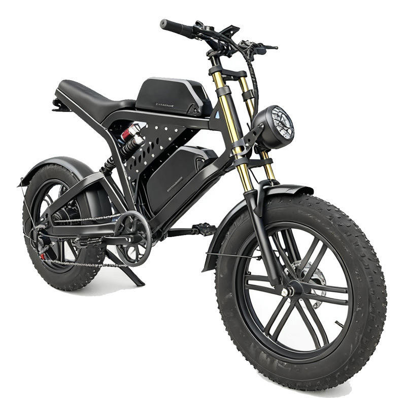 48V Central Drive Aluminum Fat Tire E-Bike : Z FT48