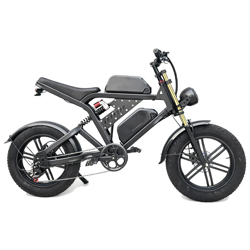 48V Central Drive Aluminum Fat Tire E-Bike : Z FT48