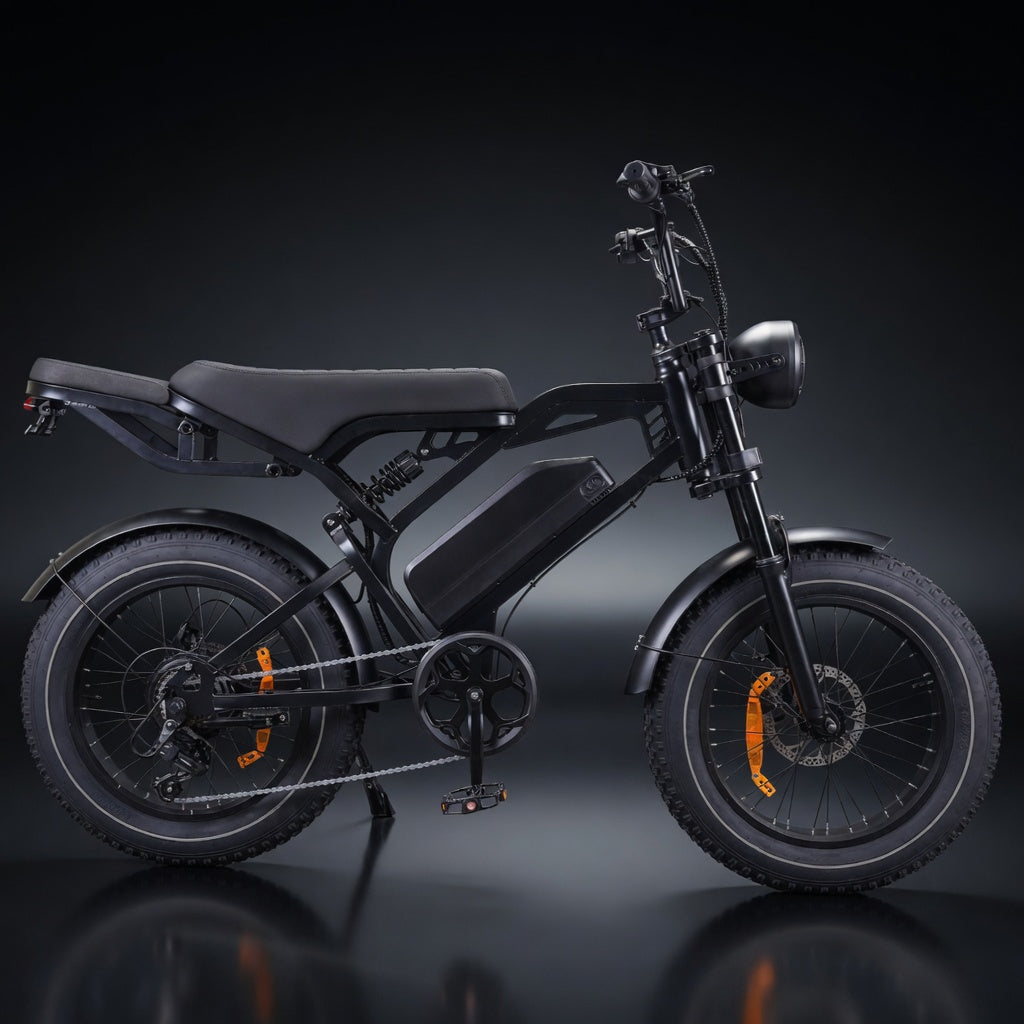 48V Fat Tire Electric Bike